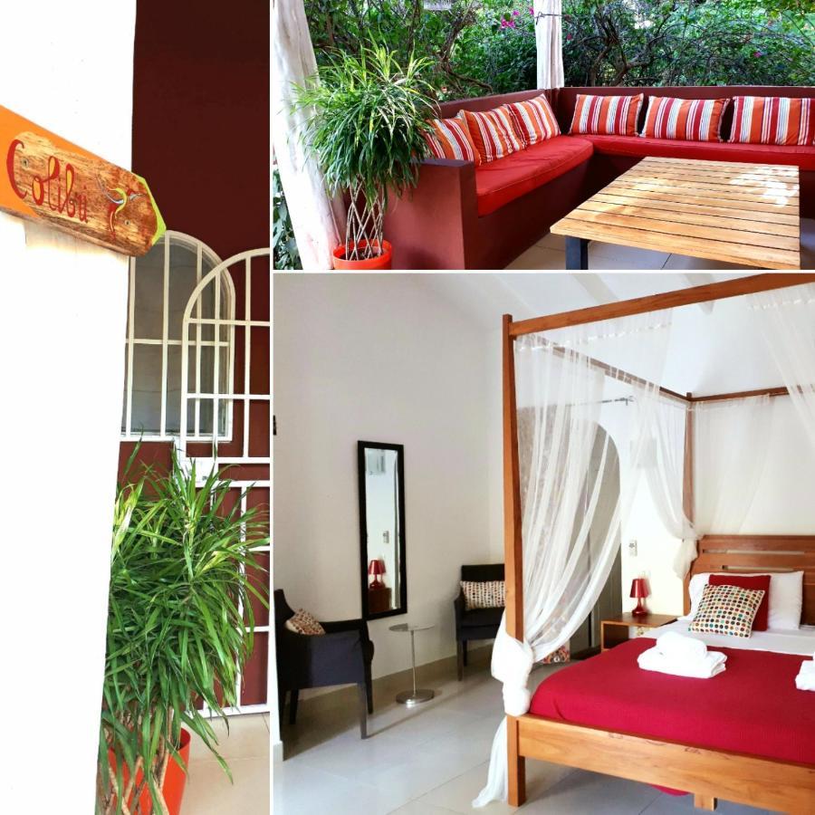 Casa Mapache Hotel Tamarindo Exterior photo