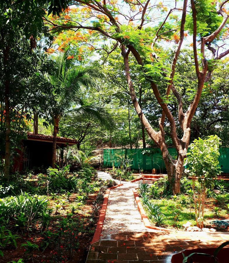 Casa Mapache Hotel Tamarindo Exterior photo