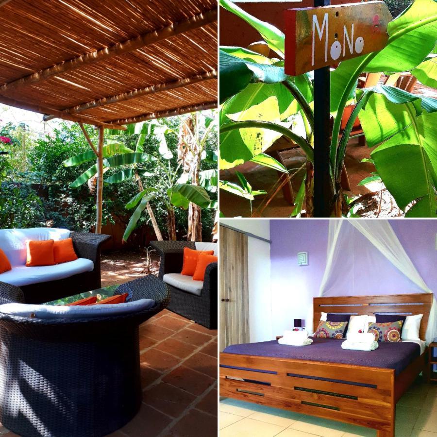 Casa Mapache Hotel Tamarindo Exterior photo