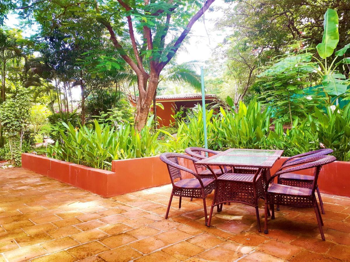 Casa Mapache Hotel Tamarindo Exterior photo