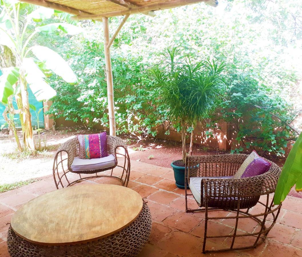 Casa Mapache Hotel Tamarindo Exterior photo