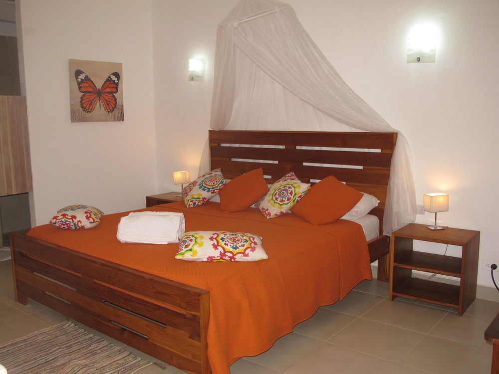 Casa Mapache Hotel Tamarindo Exterior photo