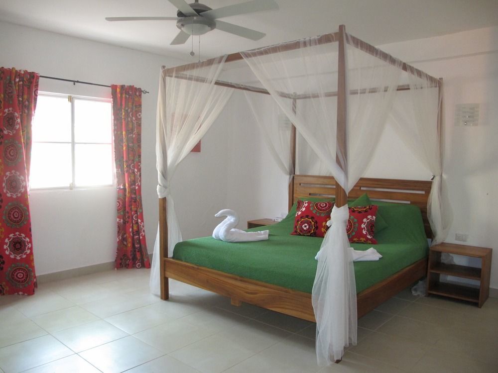 Casa Mapache Hotel Tamarindo Exterior photo