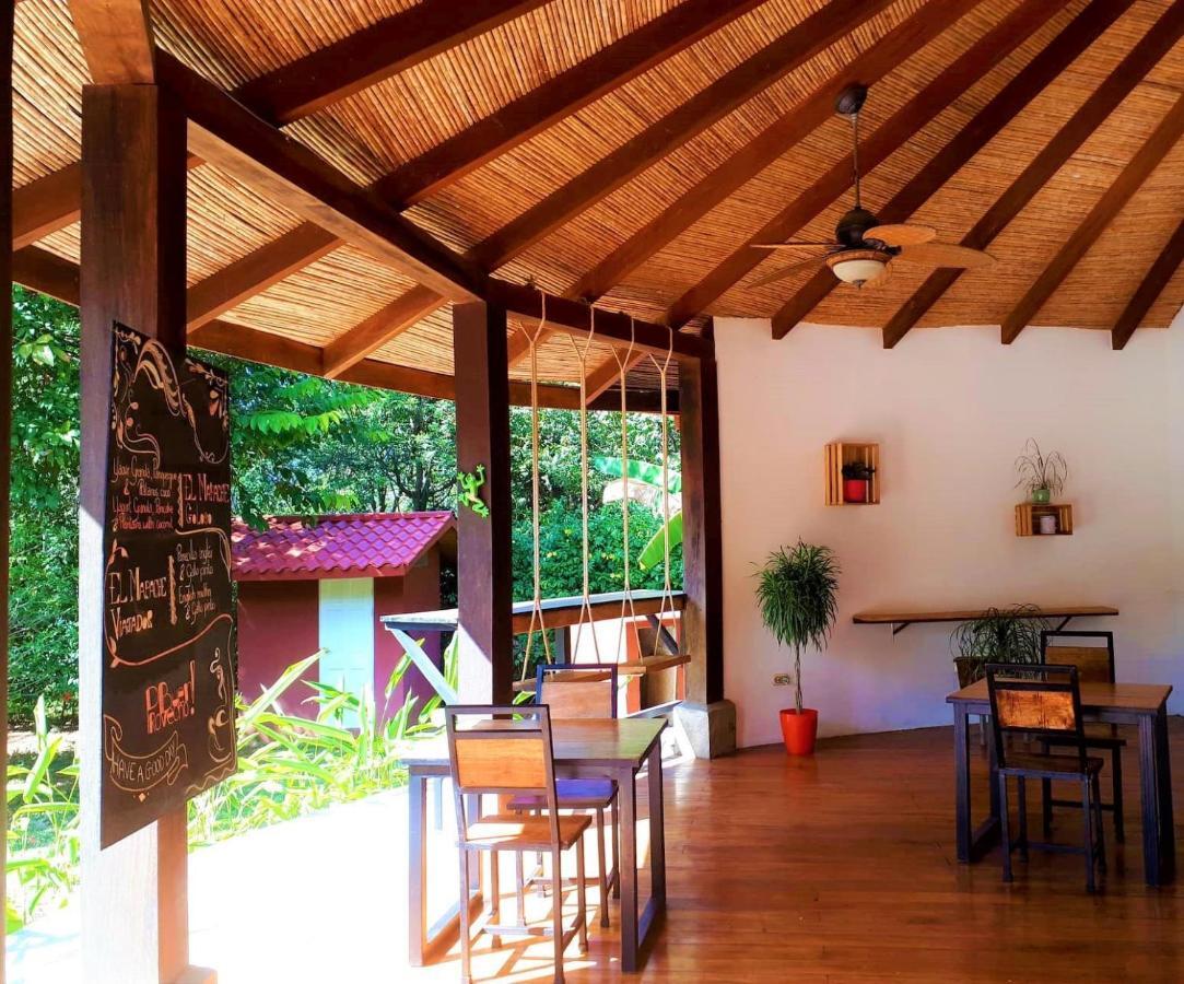 Casa Mapache Hotel Tamarindo Exterior photo