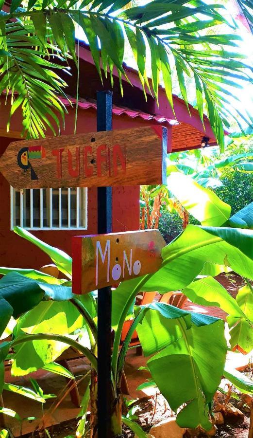 Casa Mapache Hotel Tamarindo Exterior photo