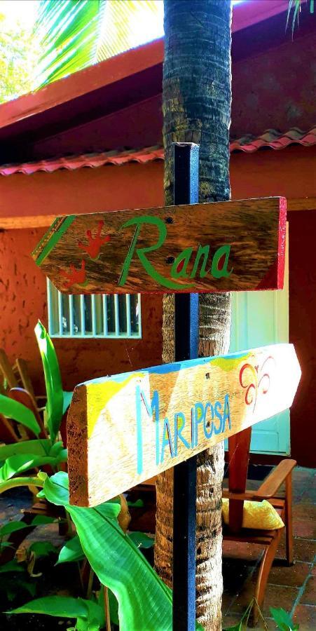 Casa Mapache Hotel Tamarindo Exterior photo
