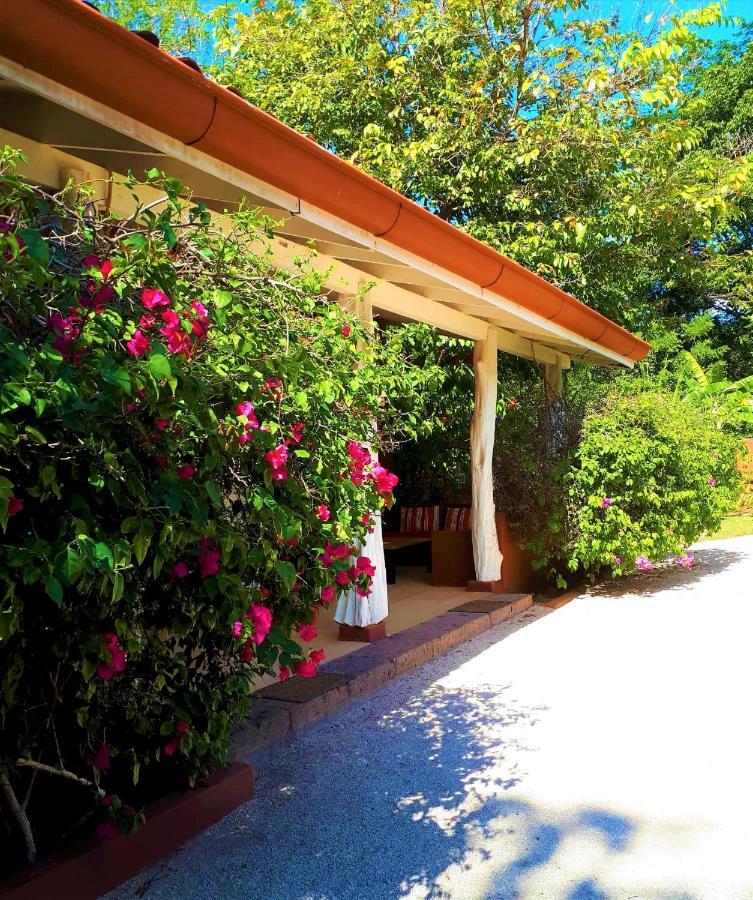 Casa Mapache Hotel Tamarindo Exterior photo