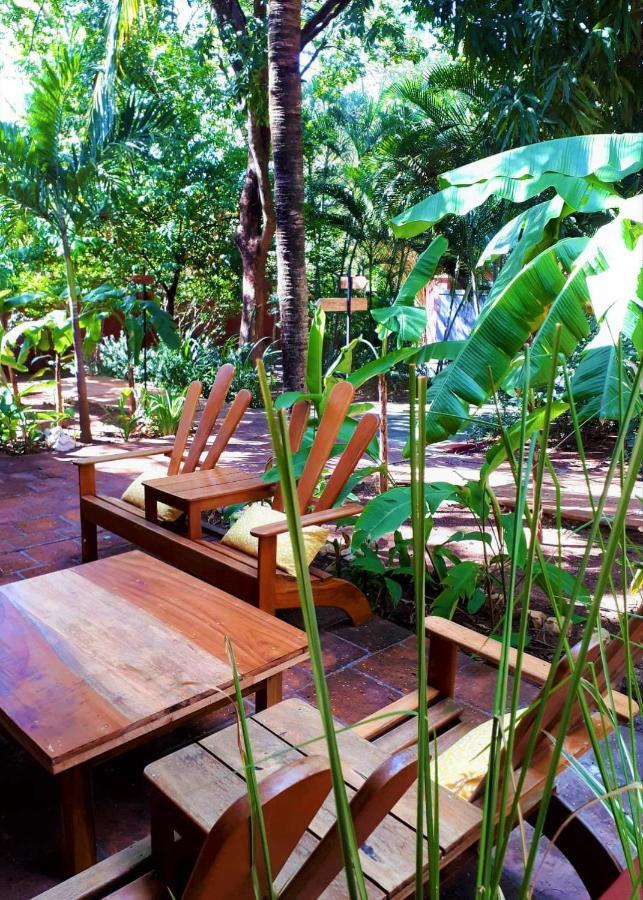Casa Mapache Hotel Tamarindo Exterior photo
